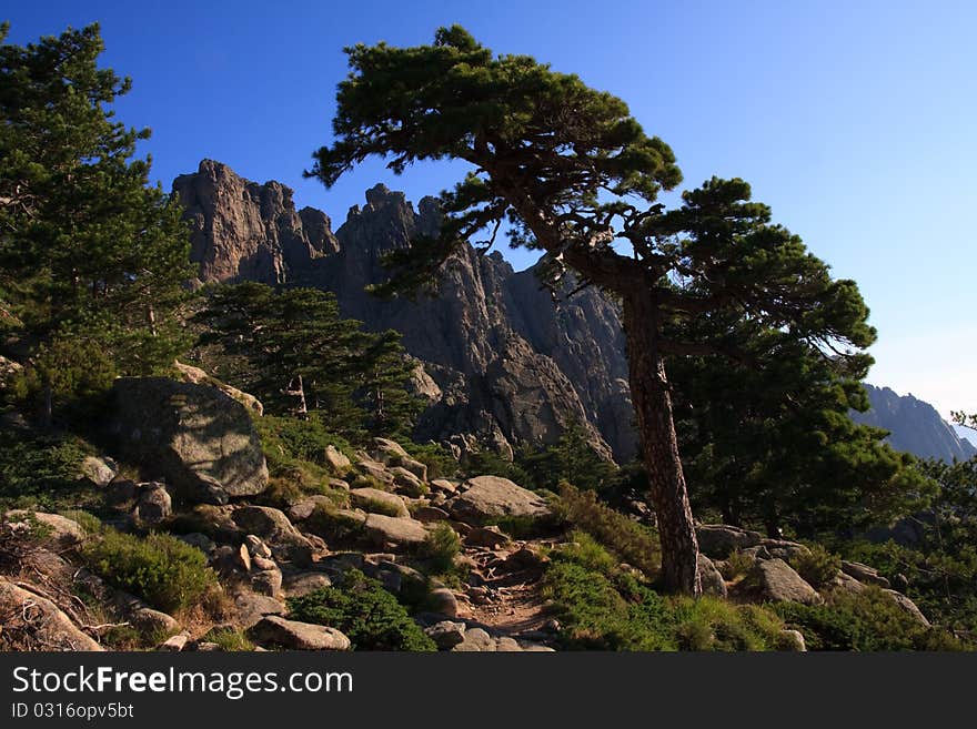 Mediterranean mountain scenery; Corsica, France. Mediterranean mountain scenery; Corsica, France