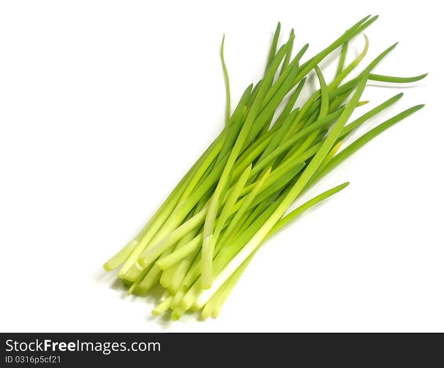 Young green onions on the white isolate background