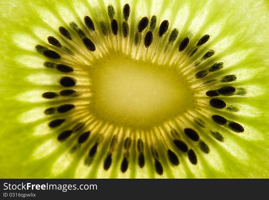 Kiwi Closeup