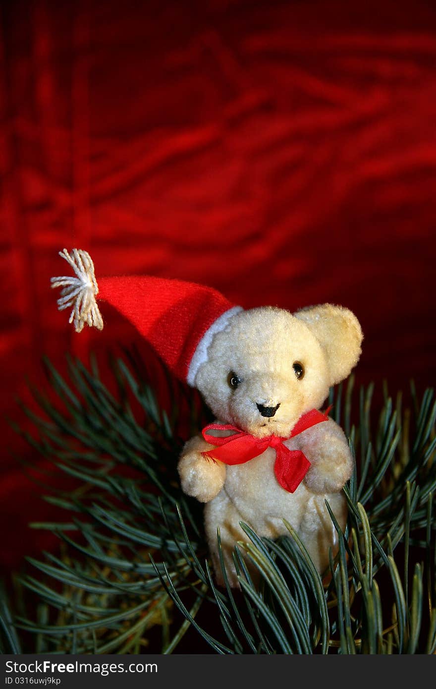 Christmas teddy and spruce branch on a red background