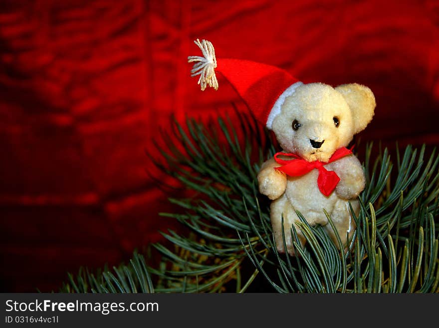 Christmas teddy and spruce branch on a red background