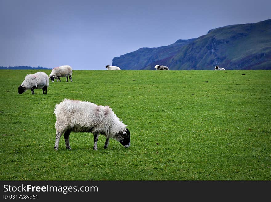 This picture was taken in keswick, northern England. This picture was taken in keswick, northern England