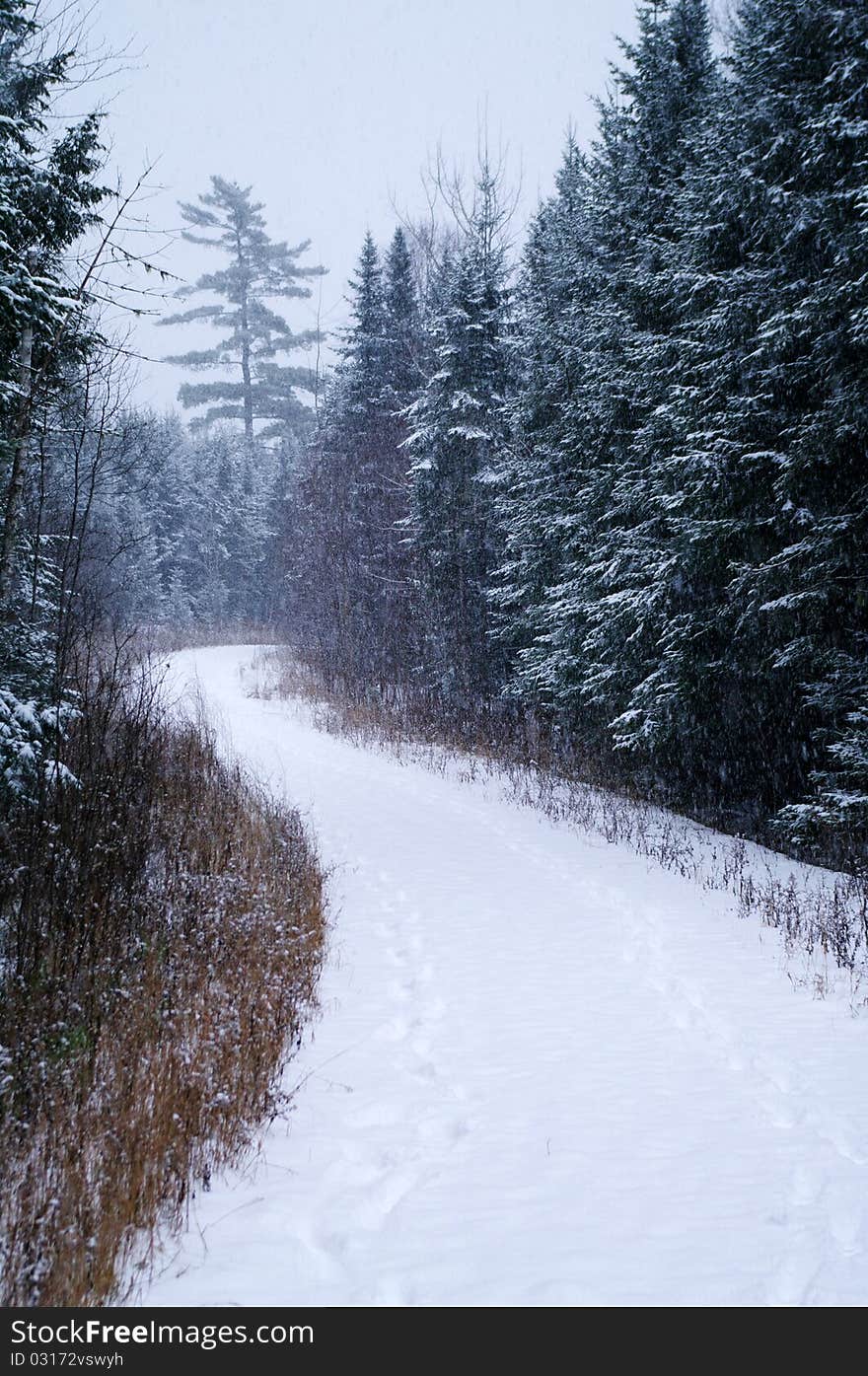 Winter road