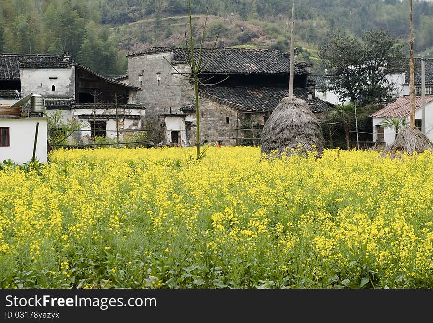 The chinese villages which surrounded by flower. The chinese villages which surrounded by flower