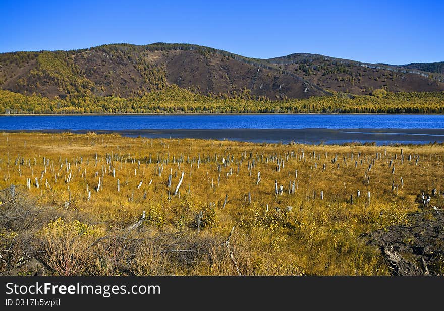 Forest and river at autumn. Forest and river at autumn.