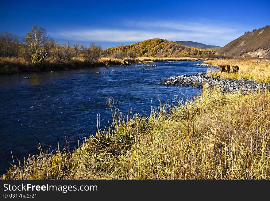 Horses And Mountain River