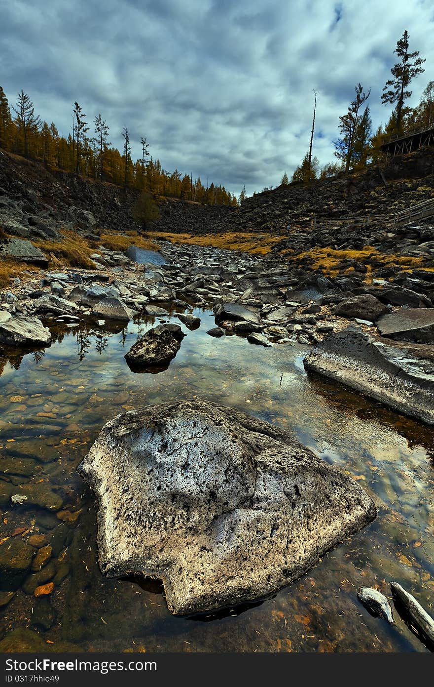 Forest Stream Under The Rock