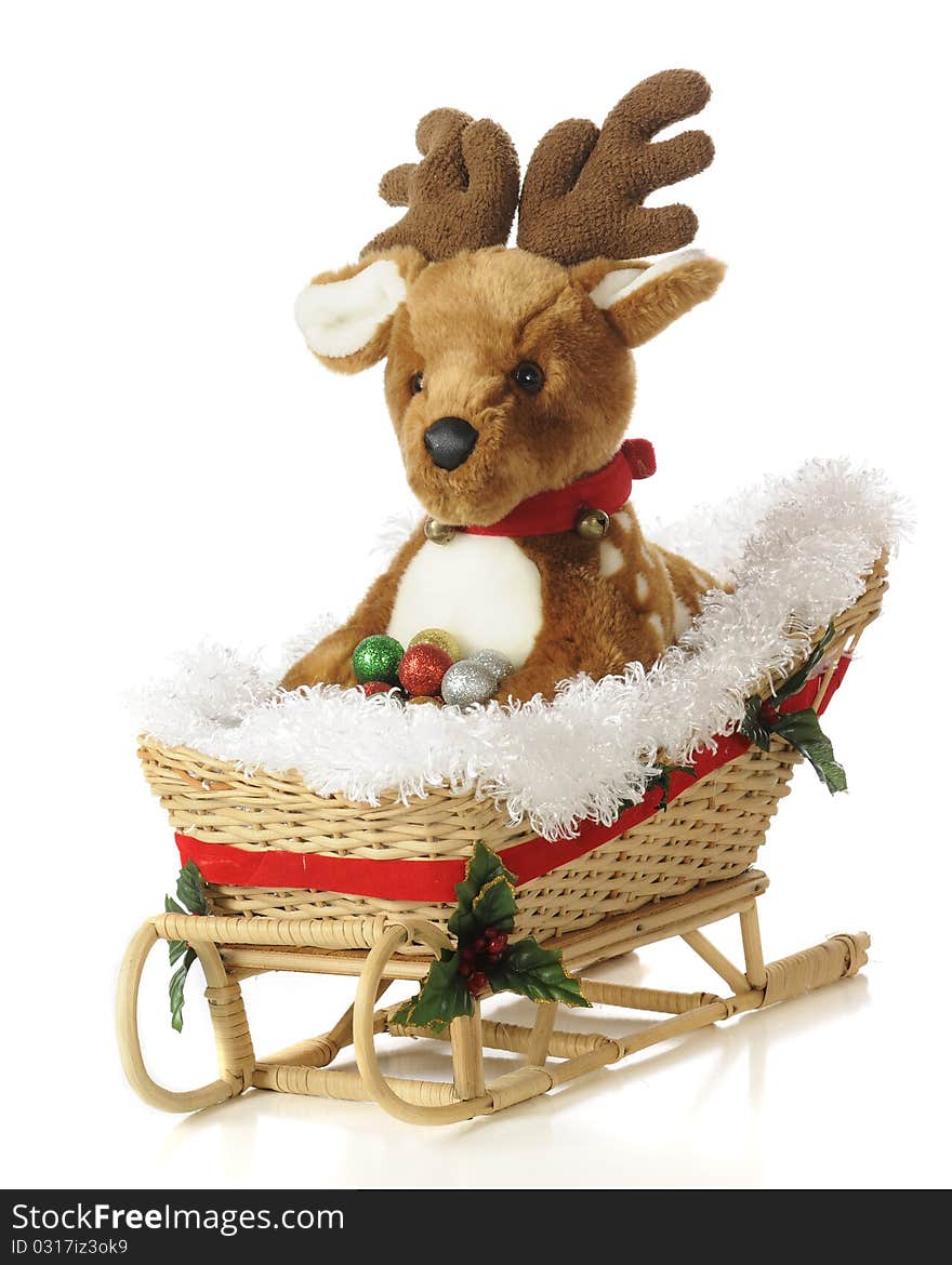 Fawn in a Sleigh