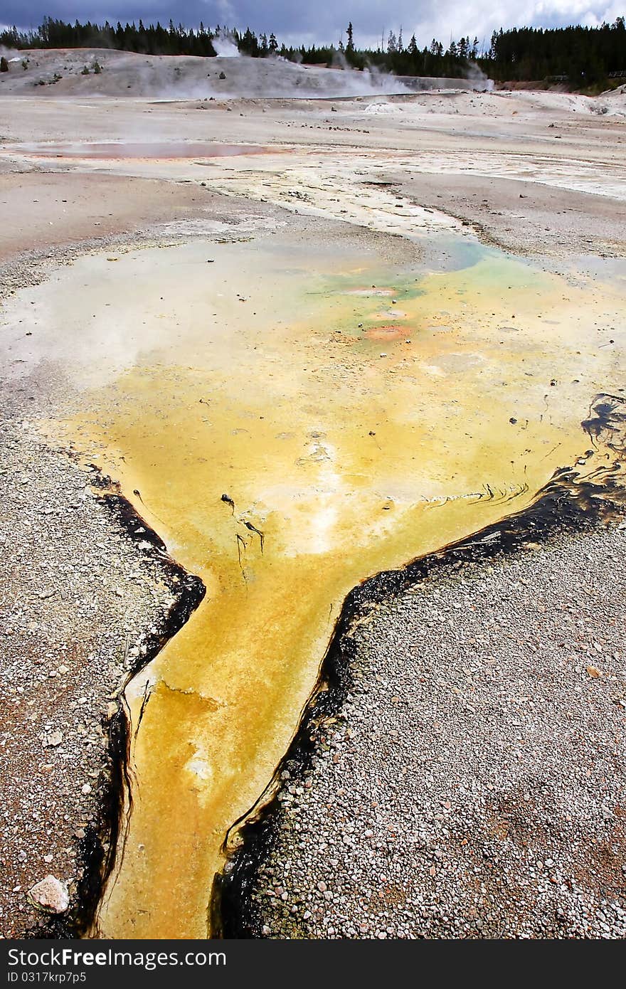 Yellow stream  in Yellowstone national park