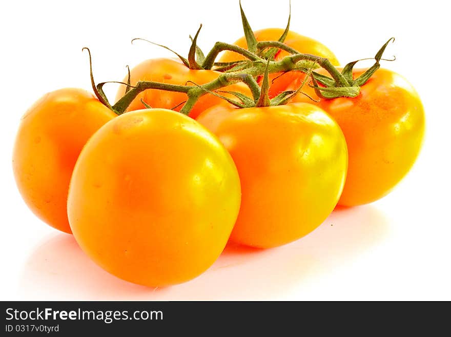 Branch tomatoes isolated on white background