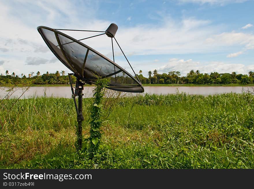 Green plant farming on satellite dish over blue sky