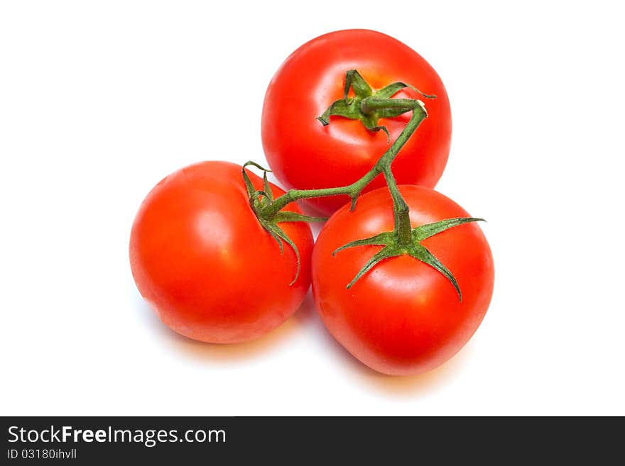 Tomatoes.