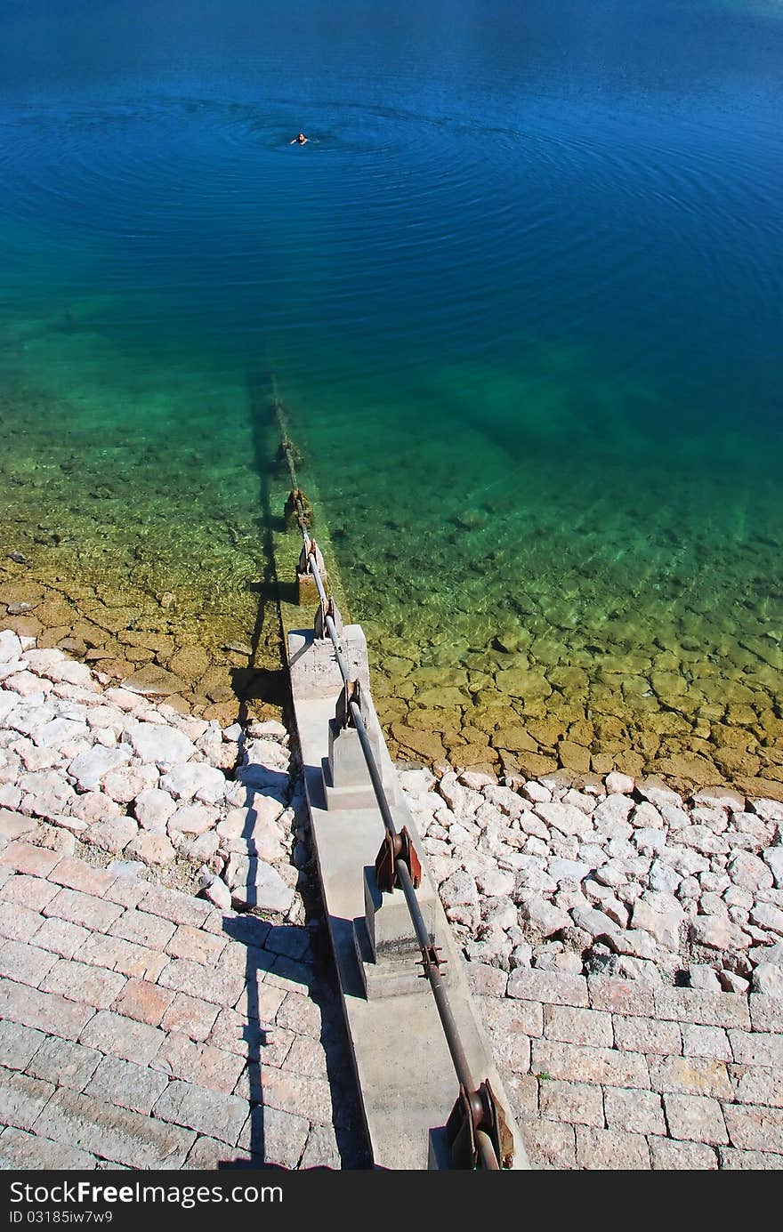 Swims in a blue lake