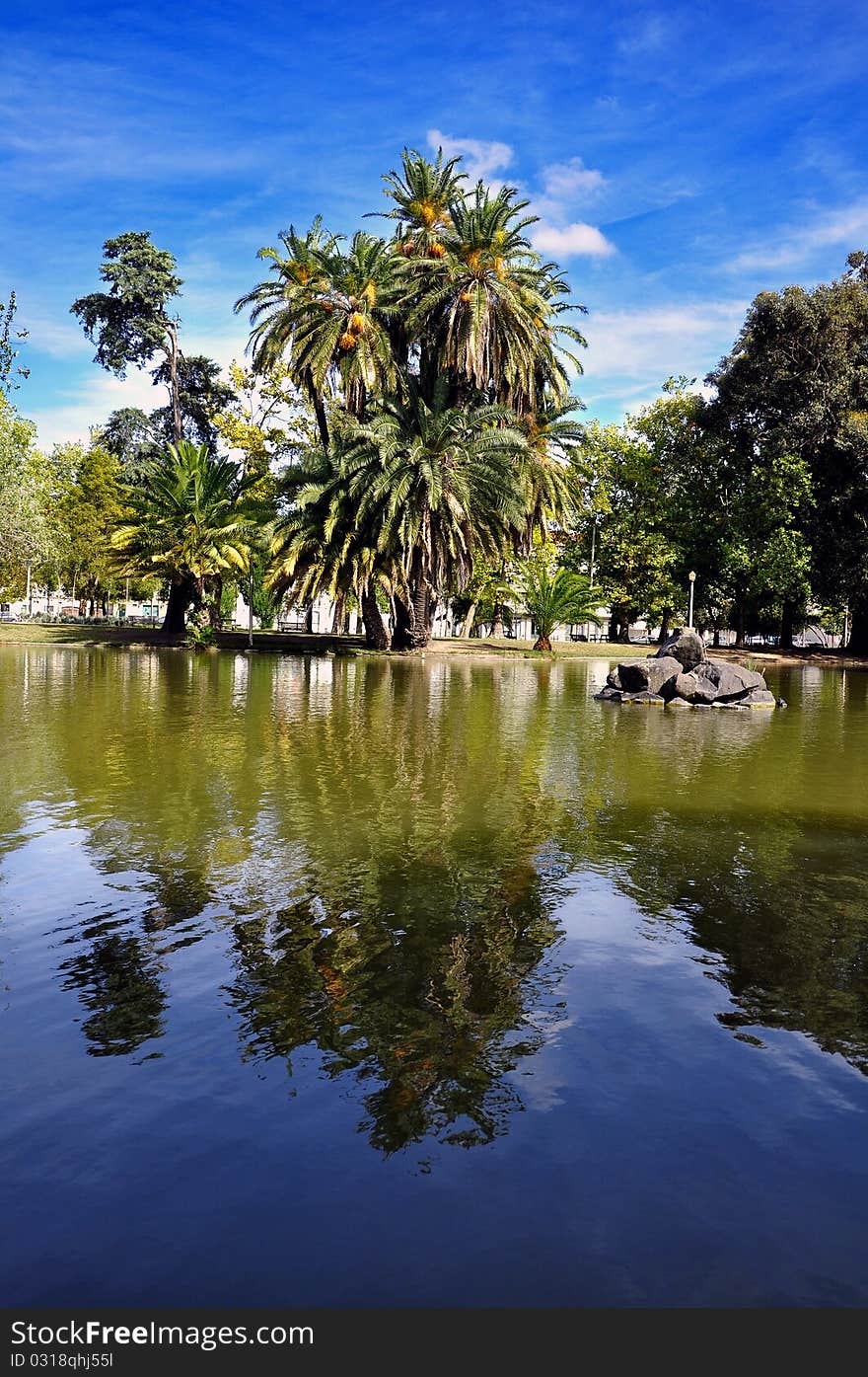 Trees lake portugal park green reflection sunlight military outdoors