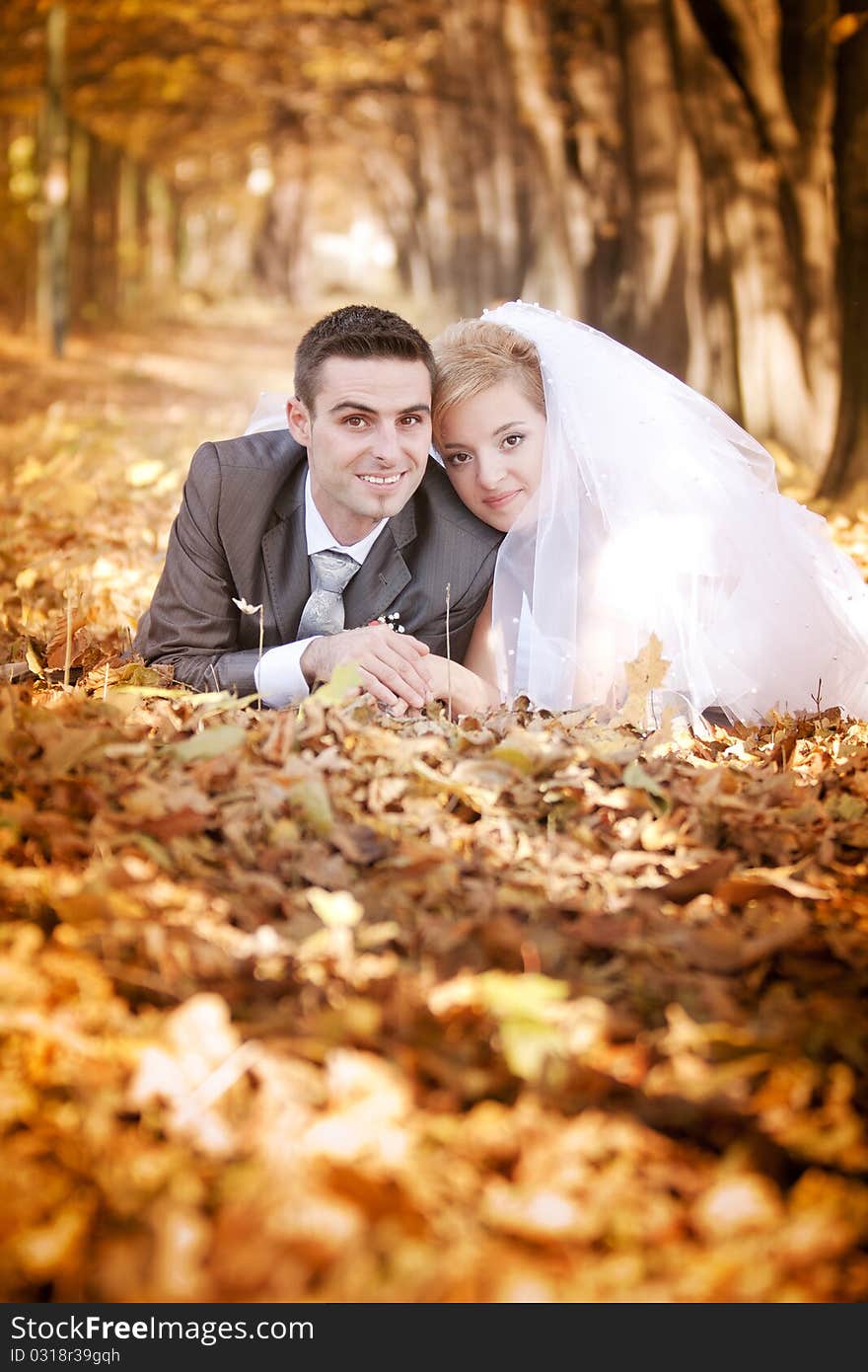 Bride And Groom