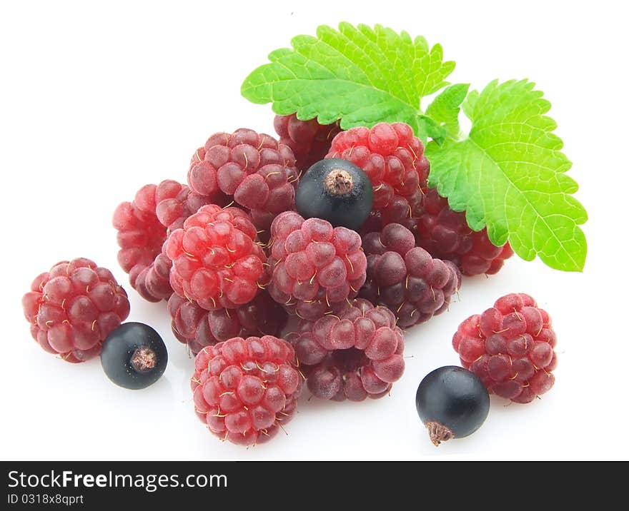 Raspberry and a black currant with a mint branch. Raspberry and a black currant with a mint branch