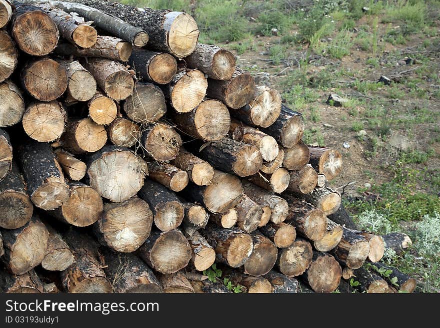 Stacked Timber Logs - Fuel For Fire