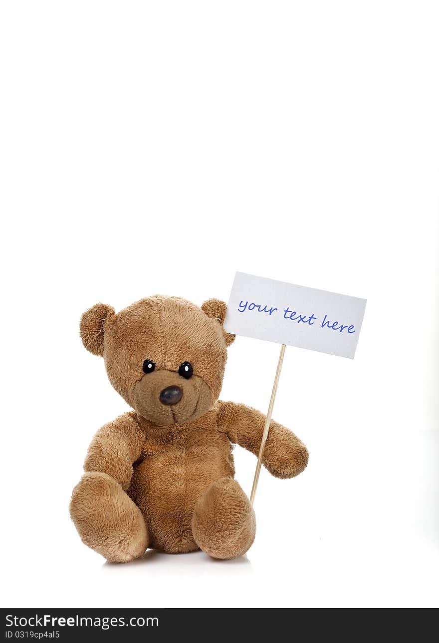 Toy bear holding a text tag isolated on white. Toy bear holding a text tag isolated on white