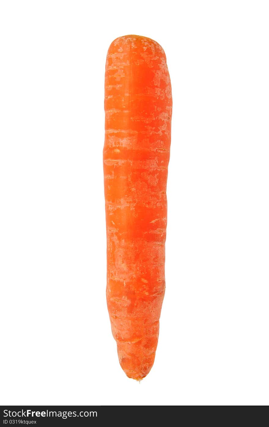 Organic Carrot