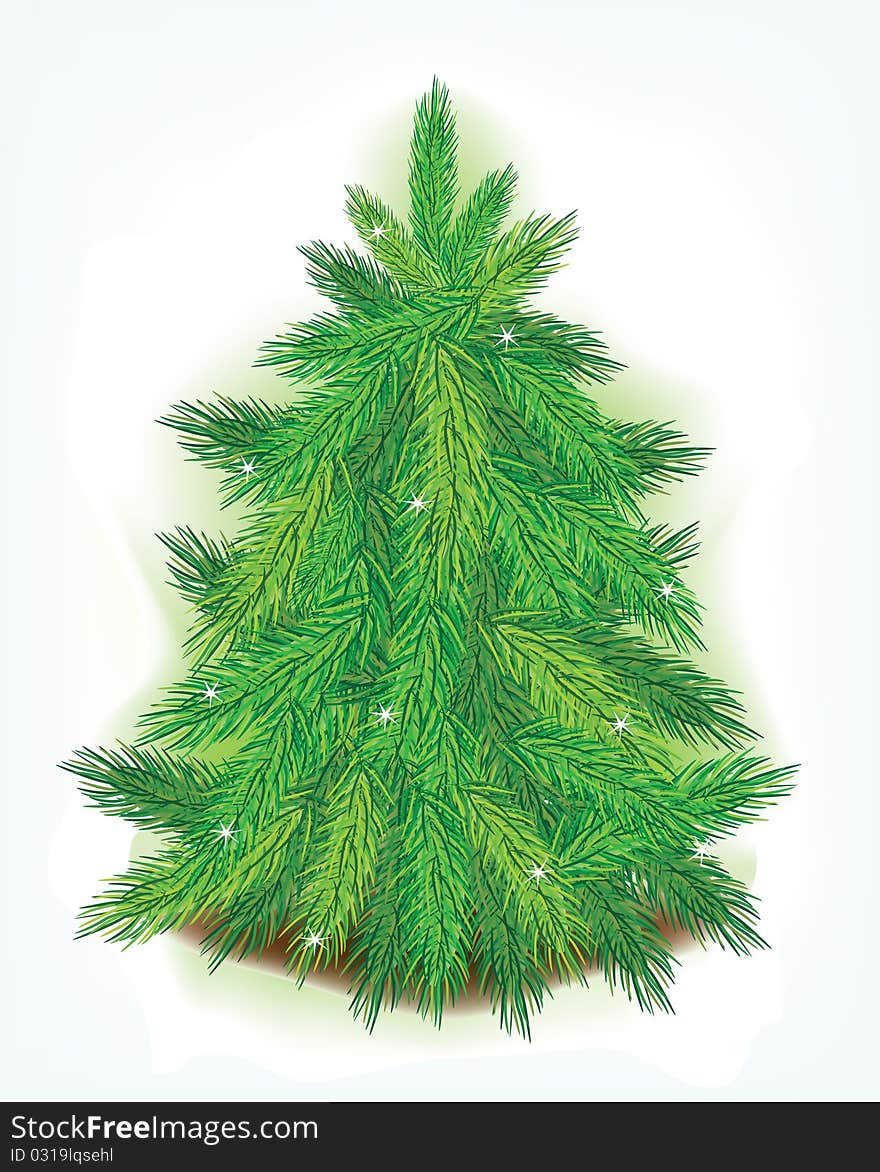 Evergreen Christmas tree  - vector illustration