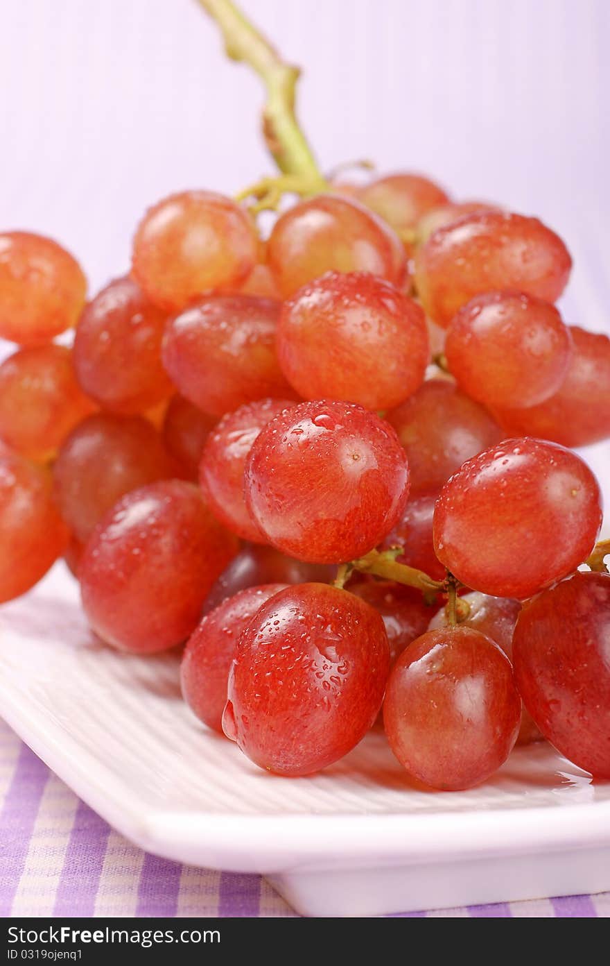 Italian red table grape