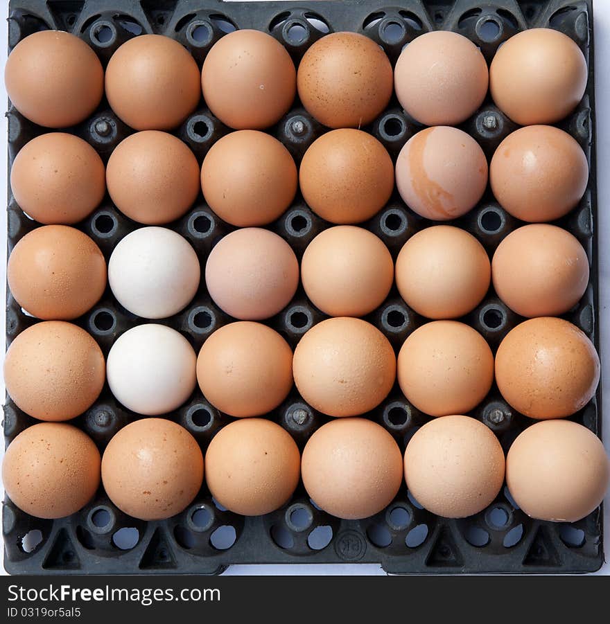 full eggs pack with different