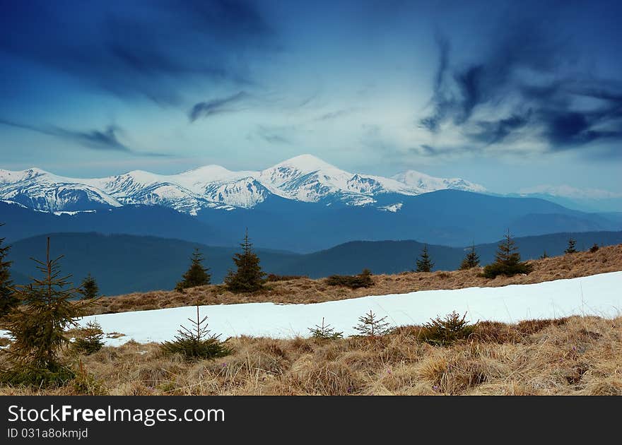 Spring Landscape In Mountains