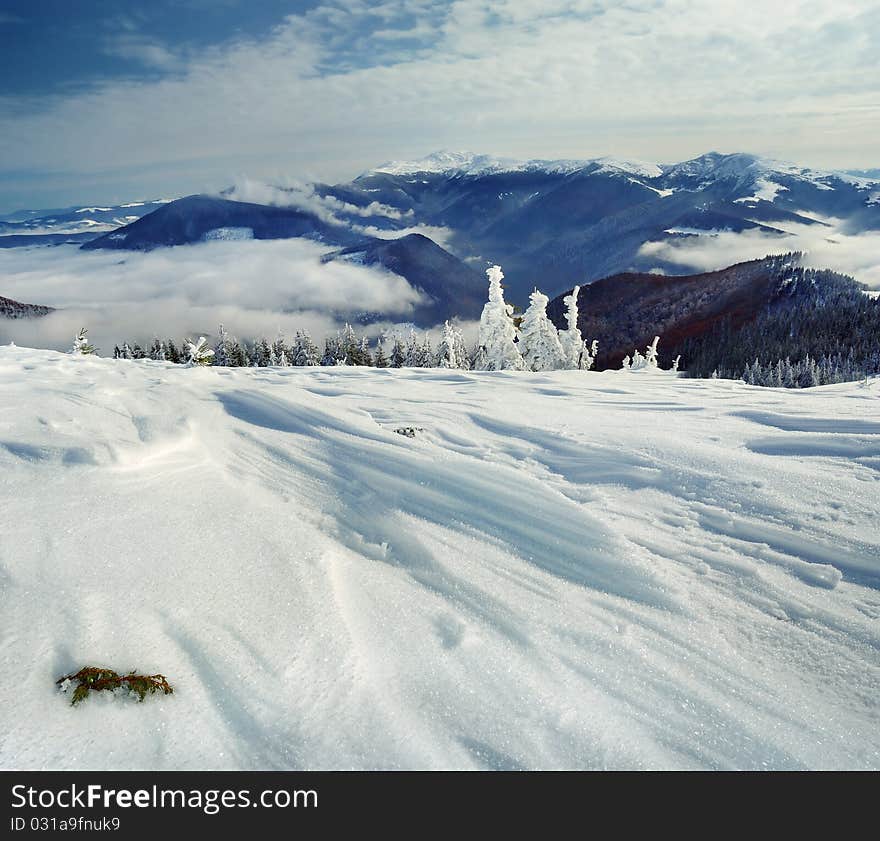 Winter Landscape In Mountains