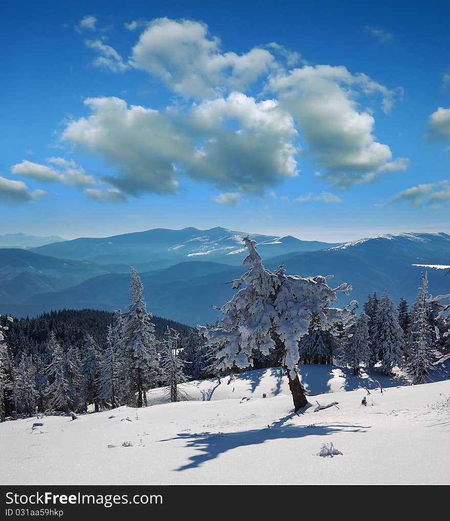 Winter Landscape In Mountains