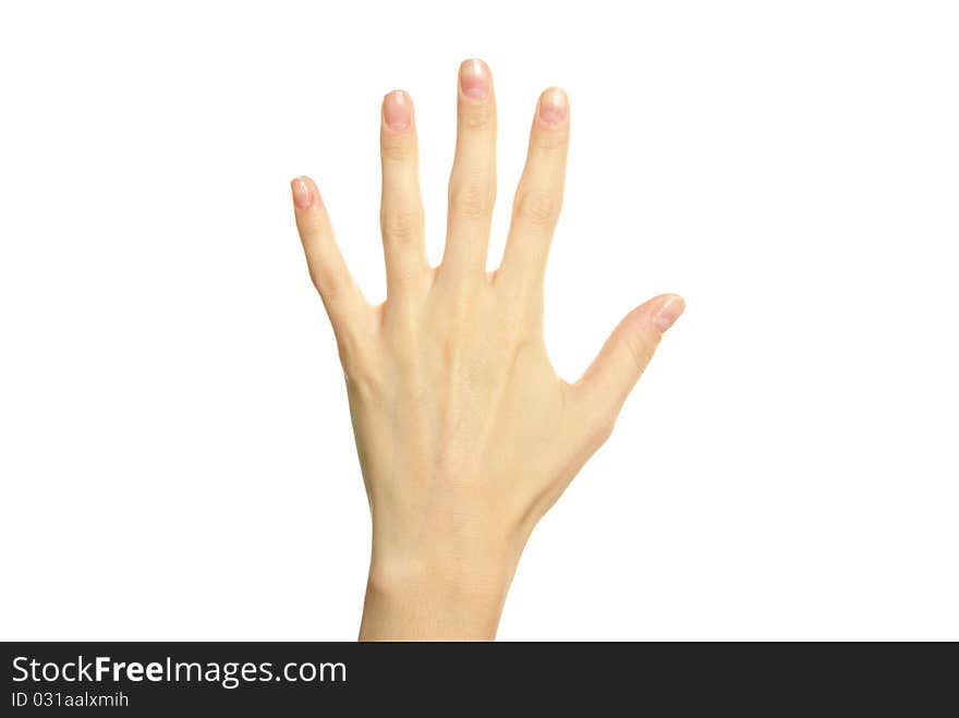 Hand showing five fingers and the palm isolated on white