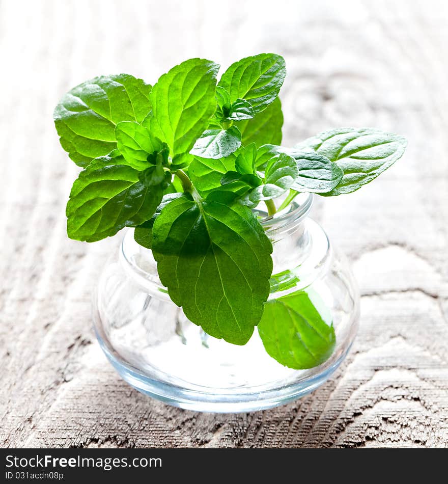 Fresh mint in a glass