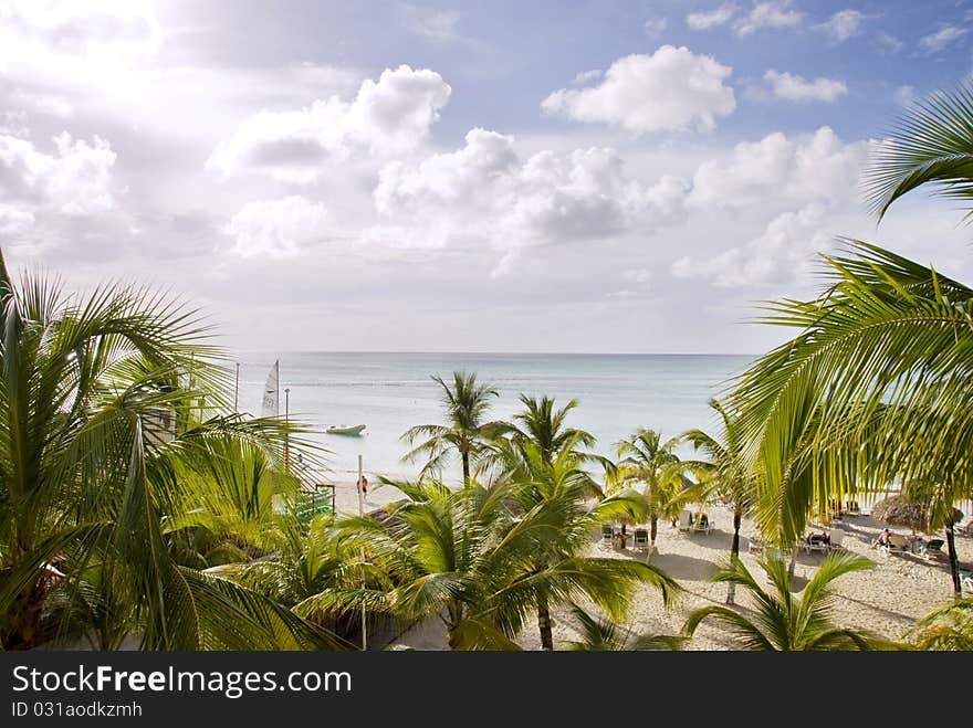 View of a tropical beach scene through palm trees. Shot from above. View of a tropical beach scene through palm trees. Shot from above.