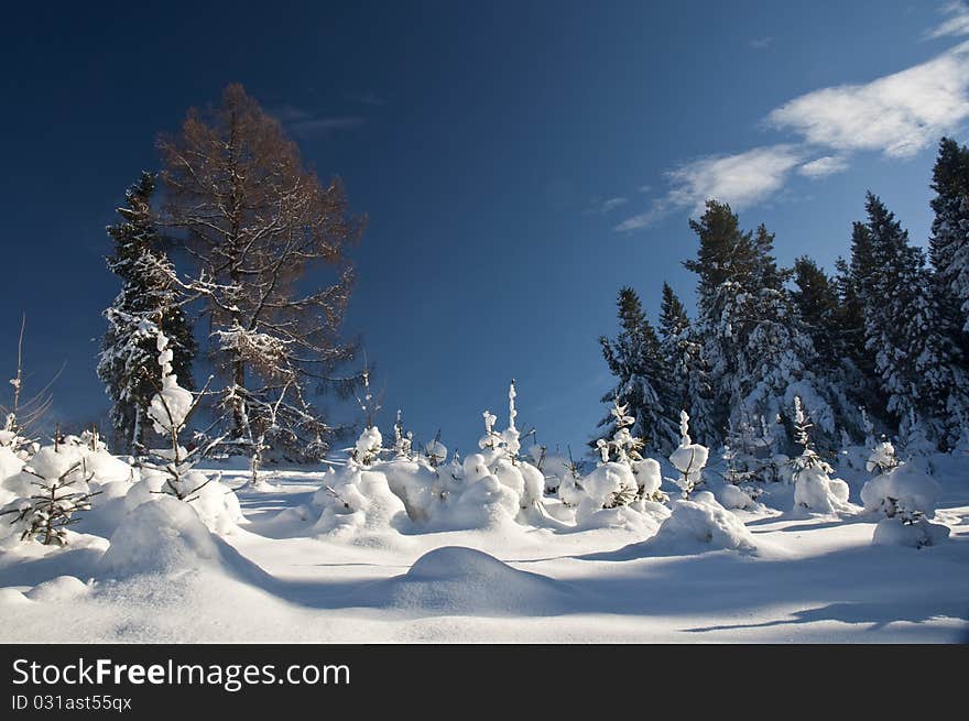 Winter in Wierchomla