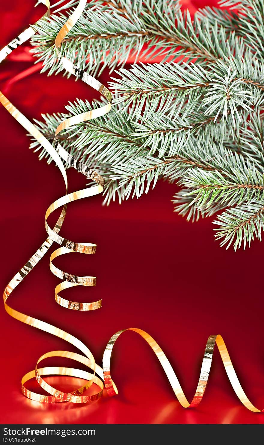 Isolated on a red background spruce twig, the Christmas Streamer.