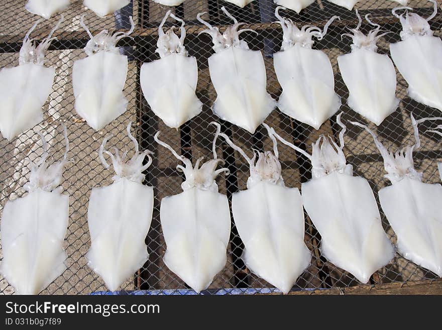 Dried squid on the market in Thailand