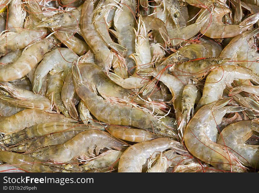 Shrimp stock on the market in Thailand