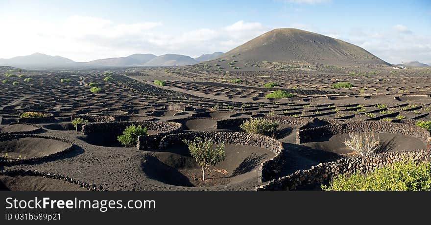 La Geria, Vineyards, Lanzarote, Canary Island