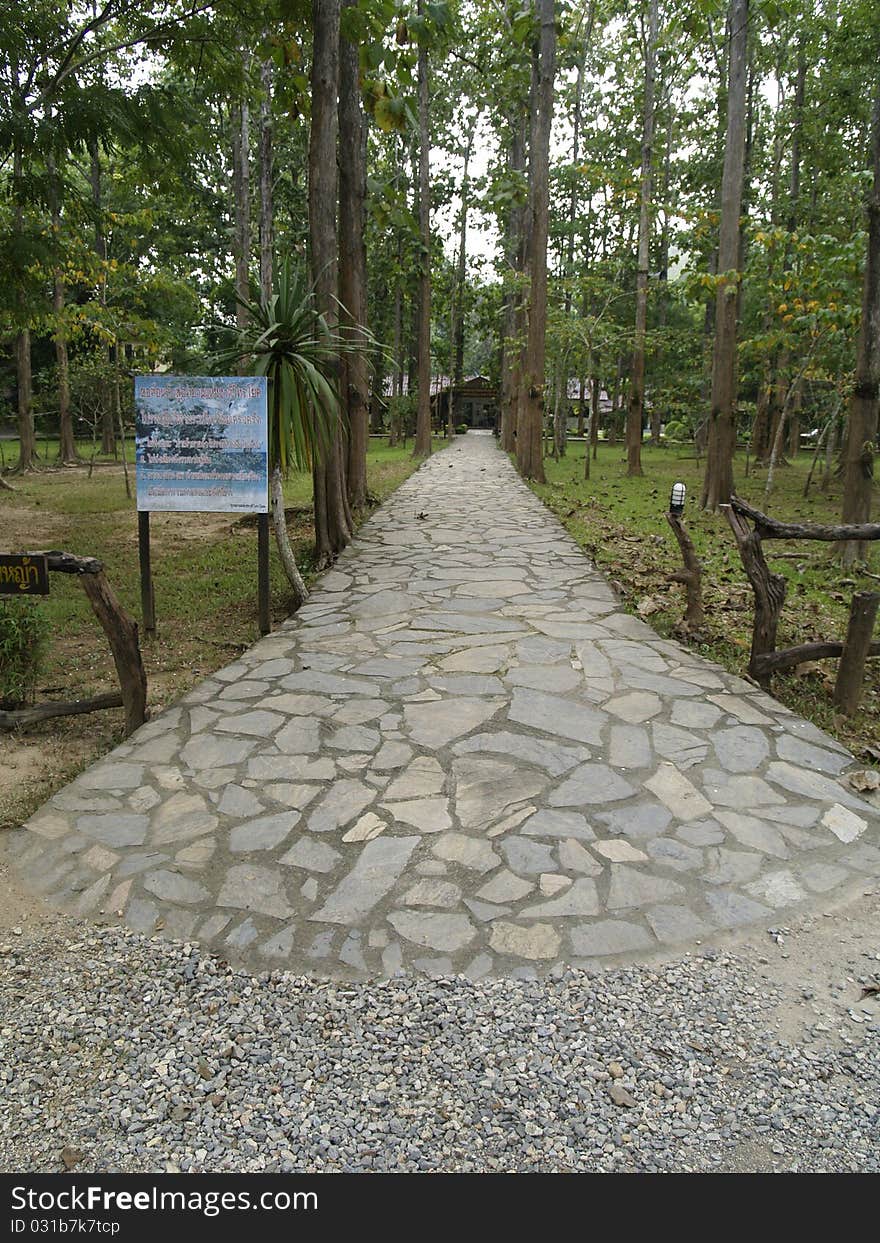 A stone pavement in forest