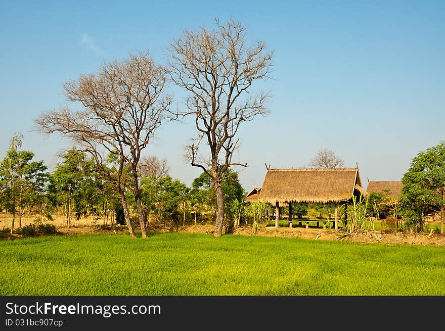 Landscape of thai countryside, Thailand.