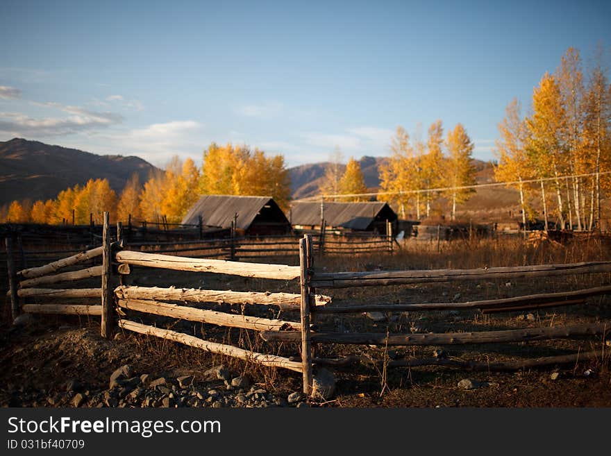 Beautiful farm