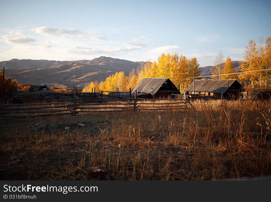 Beautiful farm