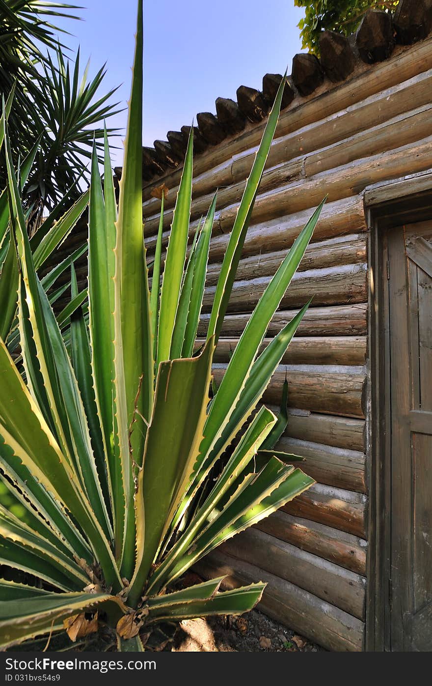 Wooden Cabin With Sisal