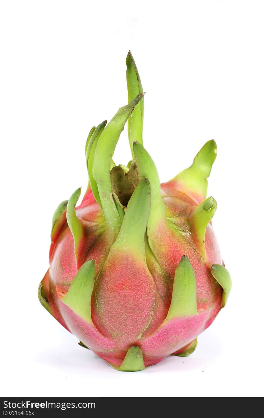 Pitaya on a white background. Pitaya on a white background