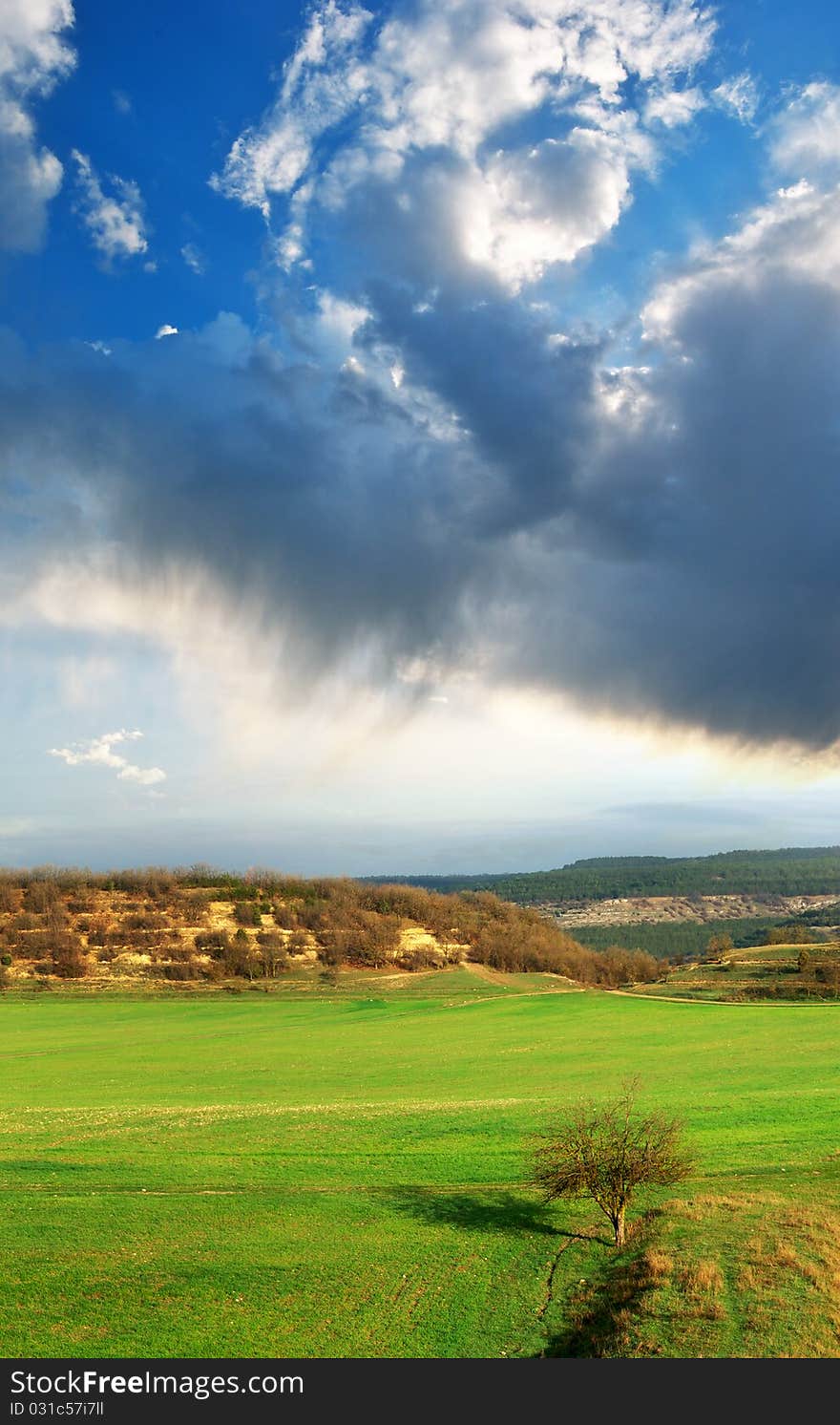 Meadow in mountain.