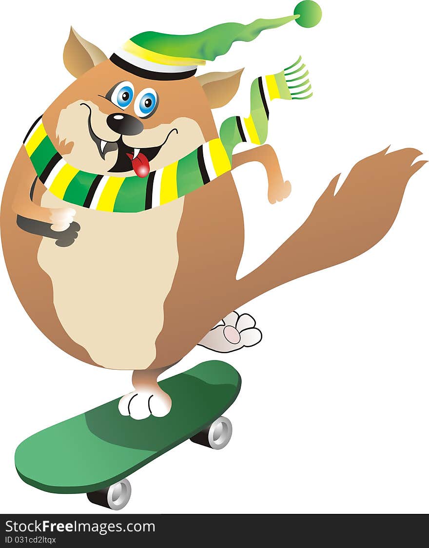 A cat goes for a drive on a board, in a cap and scarf. A cat goes for a drive on a board, in a cap and scarf