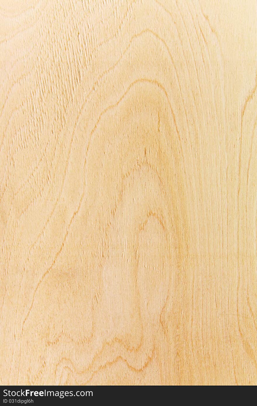 Photo of veneer texture close up