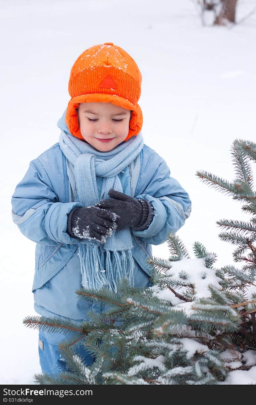 Little Boy Playing Snowballs