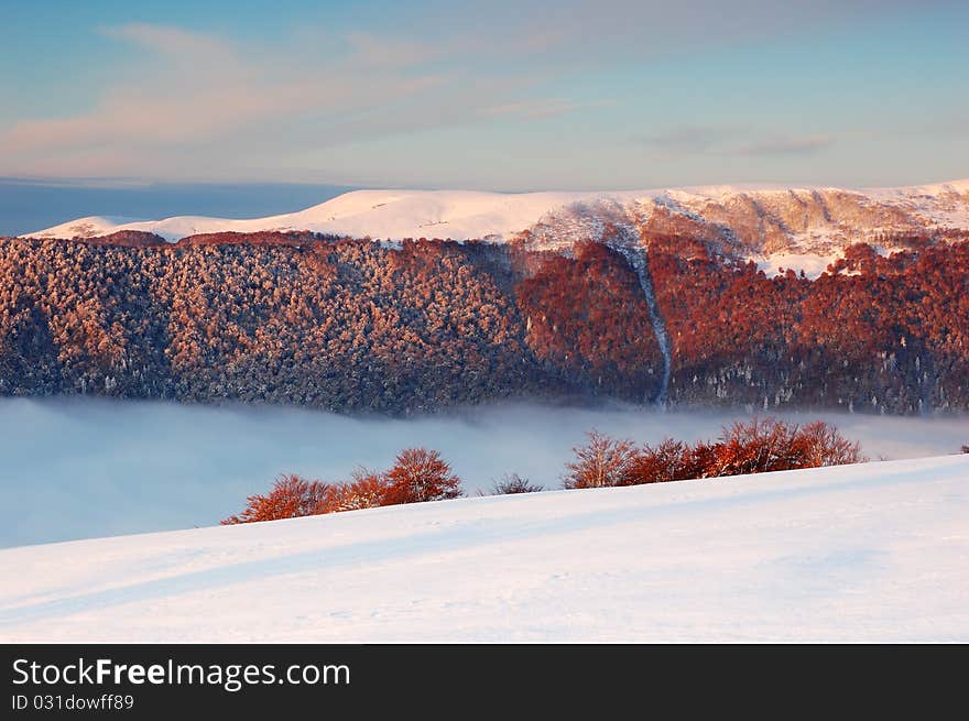 Winter landscape in mountains