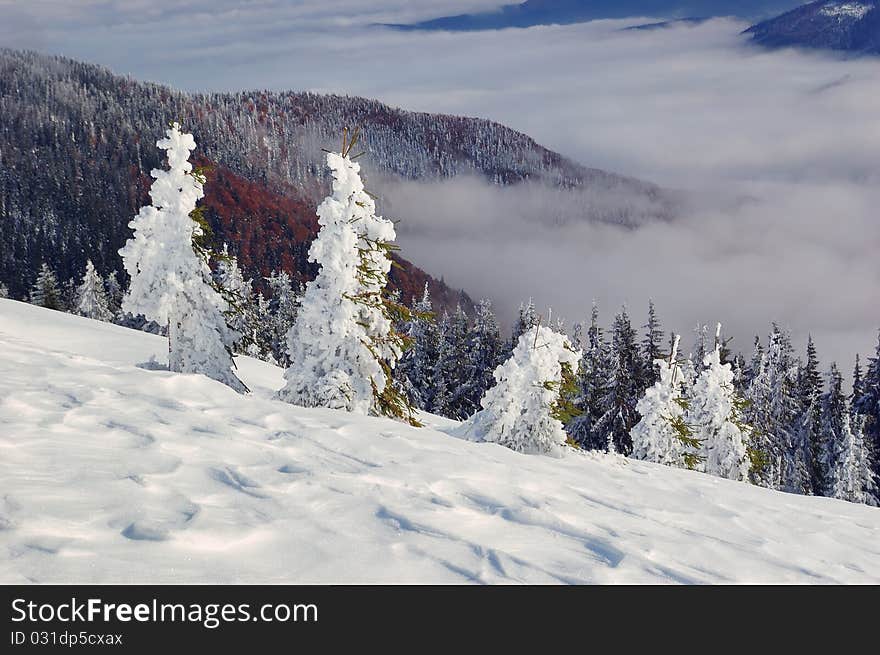 Winter Landscape In Mountains