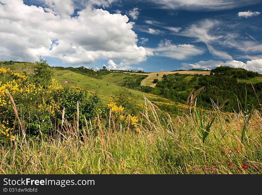 Hilly countryside of le Marche, Italy, in spring